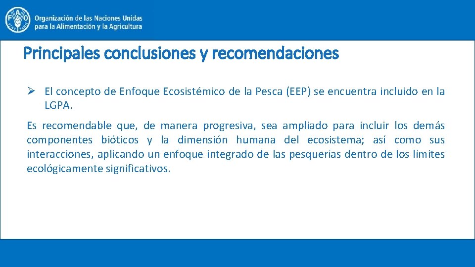 Principales conclusiones y recomendaciones Ø El concepto de Enfoque Ecosistémico de la Pesca (EEP)