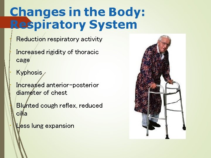 Changes in the Body: Respiratory System • Reduction respiratory activity • Increased rigidity of