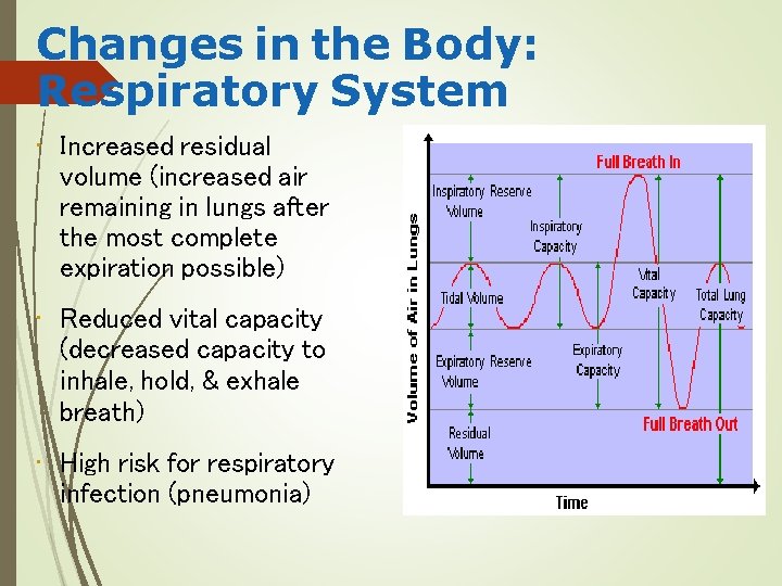 Changes in the Body: Respiratory System • Increased residual volume (increased air remaining in