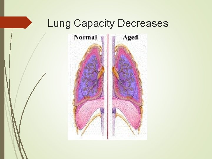 Lung Capacity Decreases 