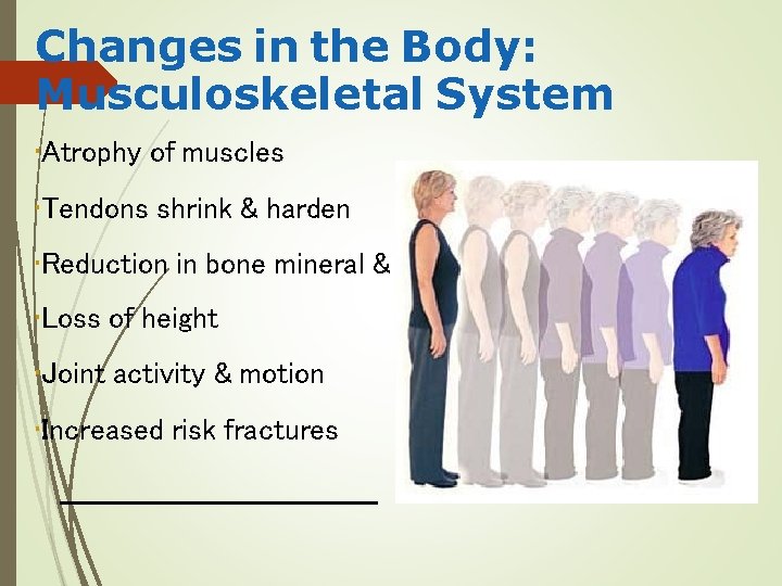 Changes in the Body: Musculoskeletal System • Atrophy of muscles • Tendons shrink &