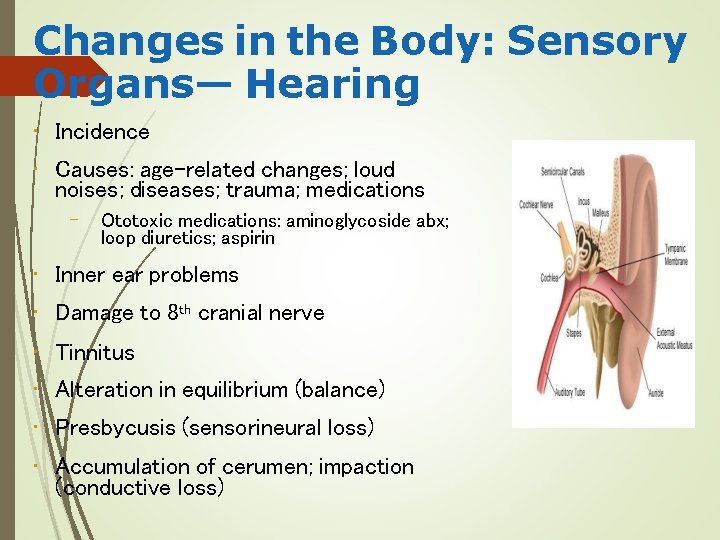 Changes in the Body: Sensory Organs— Hearing • Incidence • Causes: age-related changes; loud