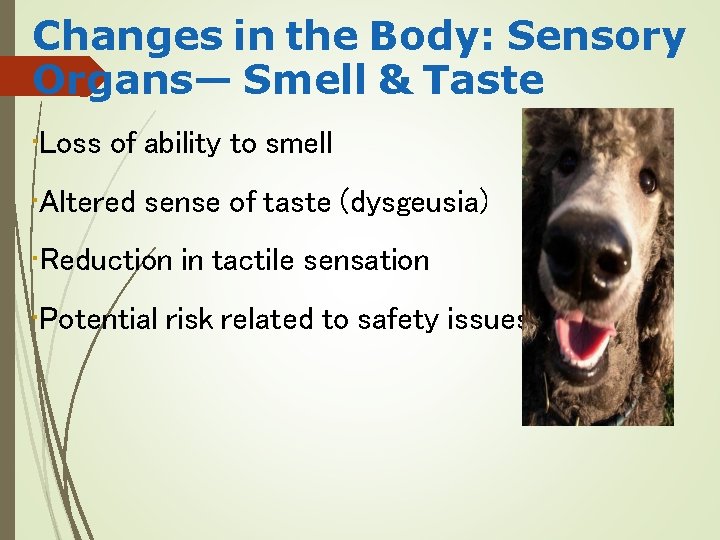 Changes in the Body: Sensory Organs— Smell & Taste • Loss of ability to