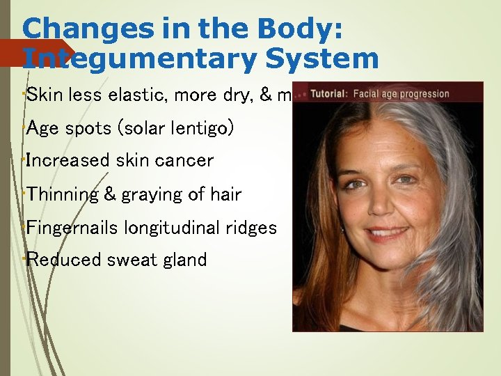 Changes in the Body: Integumentary System • Skin less elastic, more dry, & more