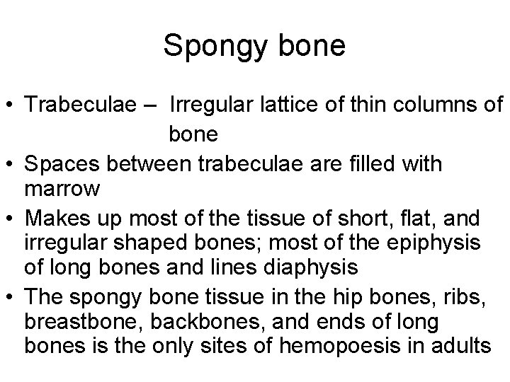 Spongy bone • Trabeculae – Irregular lattice of thin columns of bone • Spaces