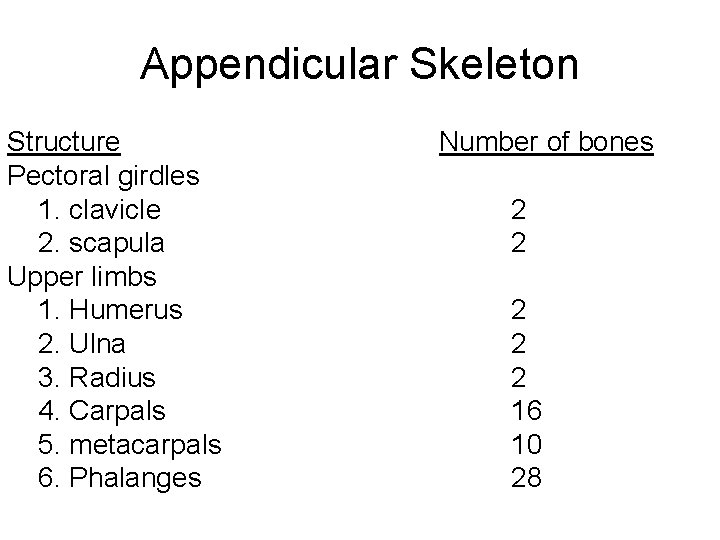 Appendicular Skeleton Structure Pectoral girdles 1. clavicle 2. scapula Upper limbs 1. Humerus 2.