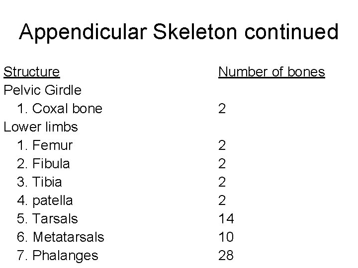 Appendicular Skeleton continued Structure Pelvic Girdle 1. Coxal bone Lower limbs 1. Femur 2.