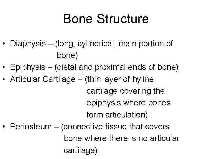 Bone Structure • Diaphysis – (long, cylindrical, main portion of bone) • Epiphysis –