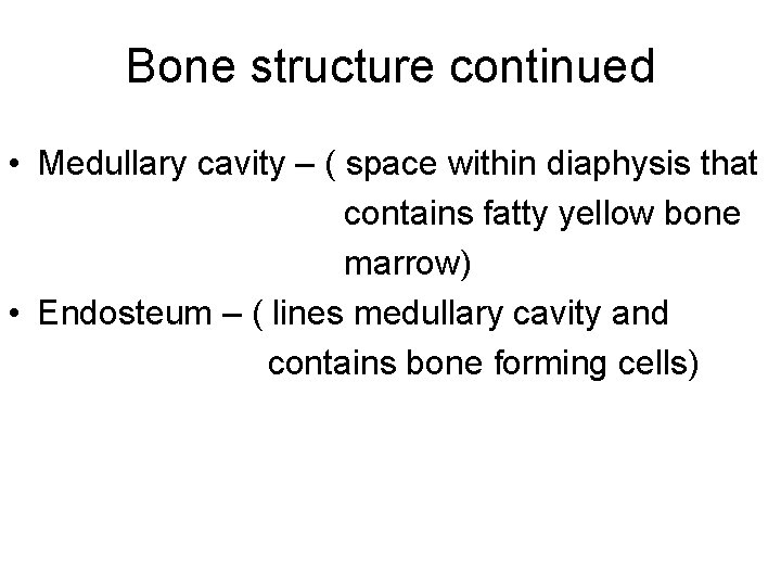 Bone structure continued • Medullary cavity – ( space within diaphysis that contains fatty