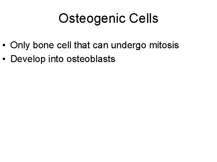 Osteogenic Cells • Only bone cell that can undergo mitosis • Develop into osteoblasts
