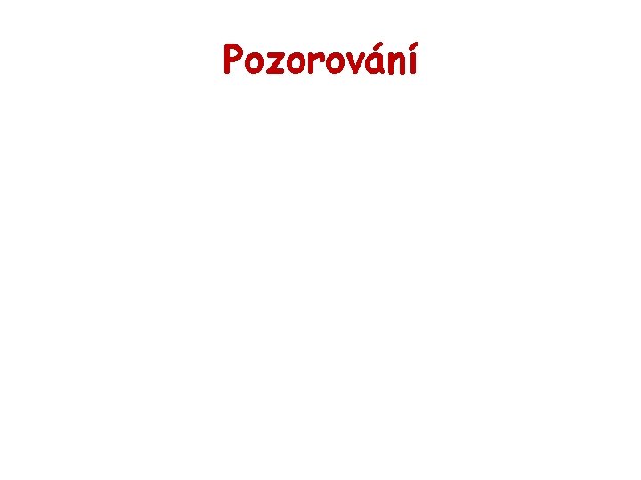 Pozorování 