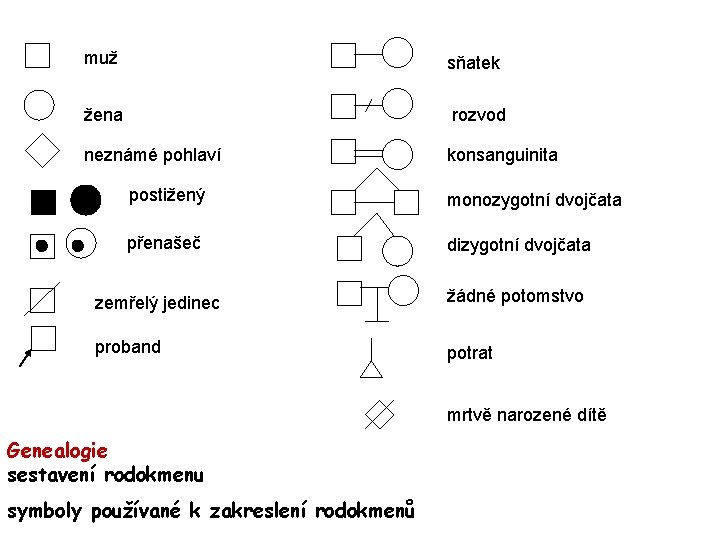 muž sňatek žena rozvod neznámé pohlaví konsanguinita postižený monozygotní dvojčata přenašeč dizygotní dvojčata zemřelý