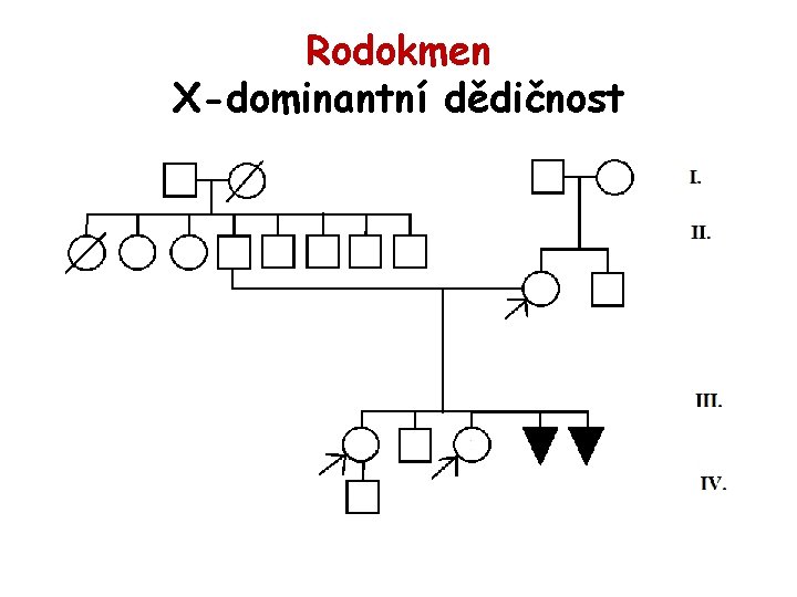 Rodokmen X-dominantní dědičnost 