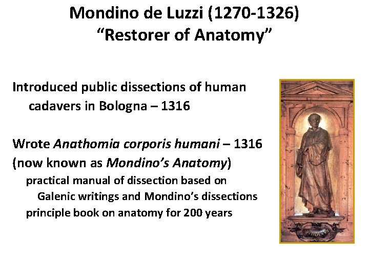 Mondino de Luzzi (1270 -1326) “Restorer of Anatomy” Introduced public dissections of human cadavers