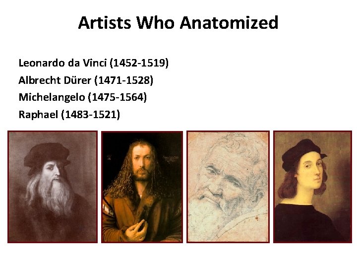 Artists Who Anatomized Leonardo da Vinci (1452 -1519) Albrecht Dürer (1471 -1528) Michelangelo (1475