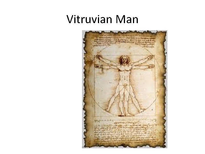 Vitruvian Man 