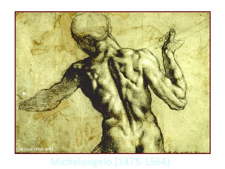 (picture reversed) Michelangelo (1475 -1564) 