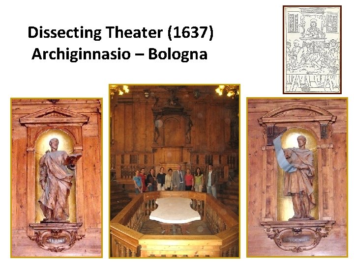 Dissecting Theater (1637) Archiginnasio – Bologna 