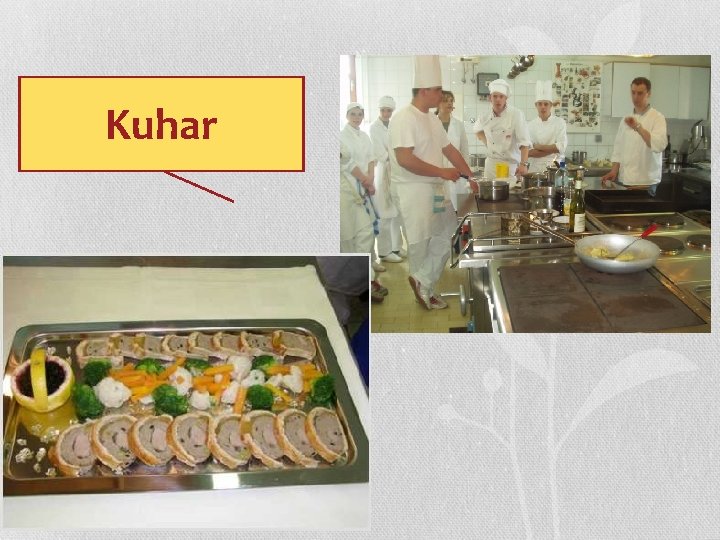 Kuhar 