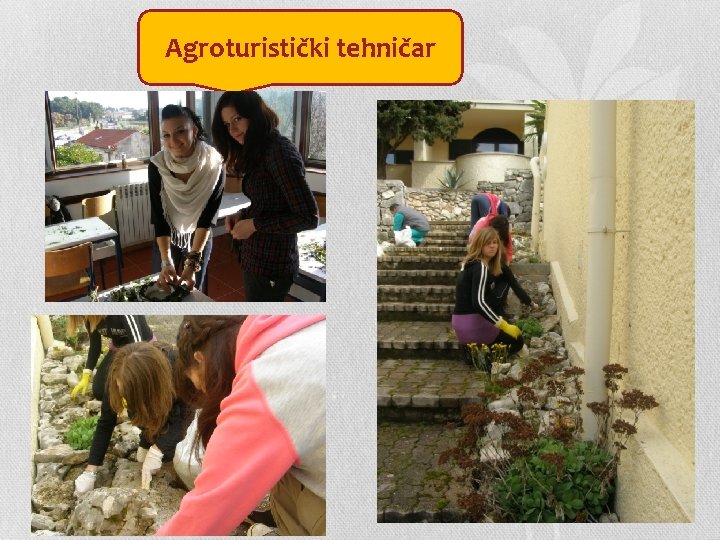 Agroturistički tehničar 