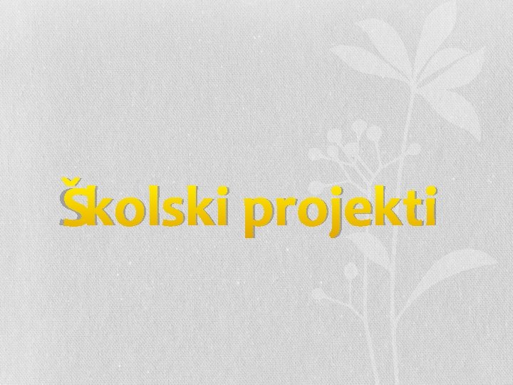 Školski projekti 