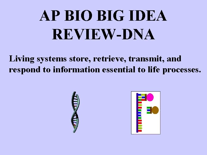 AP BIO BIG IDEA REVIEW-DNA Living systems store, retrieve, transmit, and respond to information