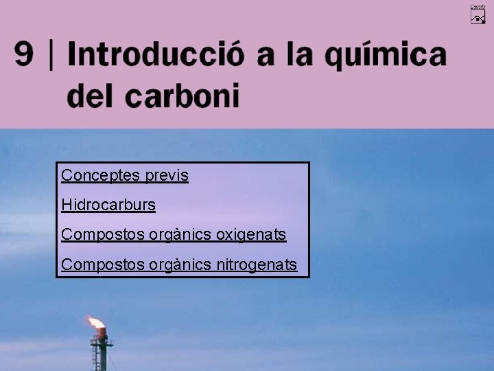 Conceptes previs Hidrocarburs Compostos orgànics oxigenats Compostos orgànics nitrogenats 