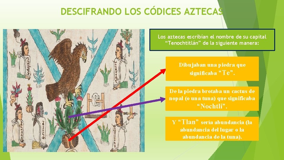 DESCIFRANDO LOS CÓDICES AZTECAS Los aztecas escribían el nombre de su capital “Tenochtitlán” de