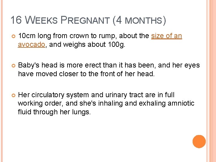 16 WEEKS PREGNANT (4 MONTHS) 10 cm long from crown to rump, about the