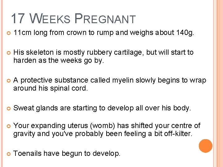 17 WEEKS PREGNANT 11 cm long from crown to rump and weighs about 140