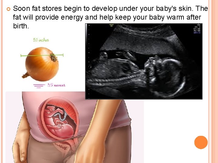  Soon fat stores begin to develop under your baby's skin. The fat will