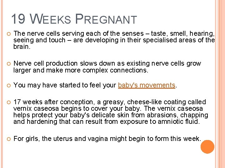 19 WEEKS PREGNANT The nerve cells serving each of the senses – taste, smell,