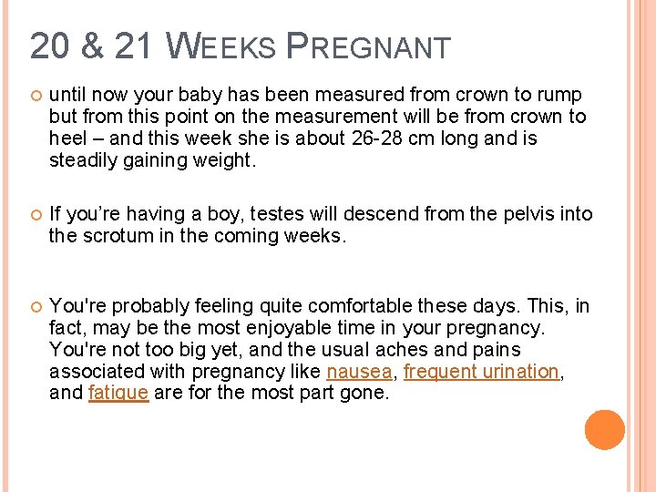 20 & 21 WEEKS PREGNANT until now your baby has been measured from crown