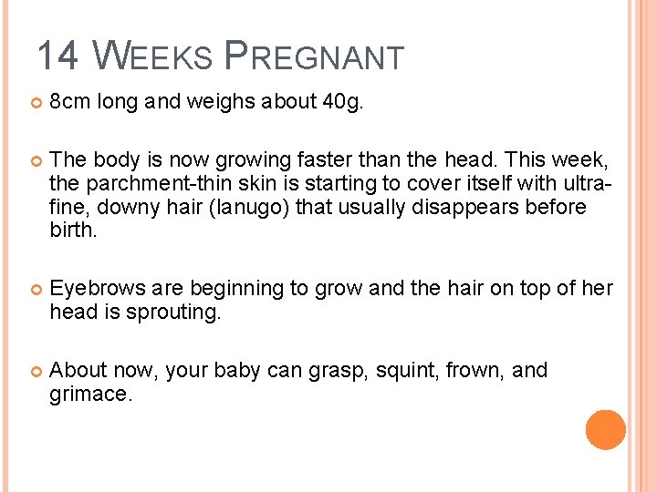 14 WEEKS PREGNANT 8 cm long and weighs about 40 g. The body is