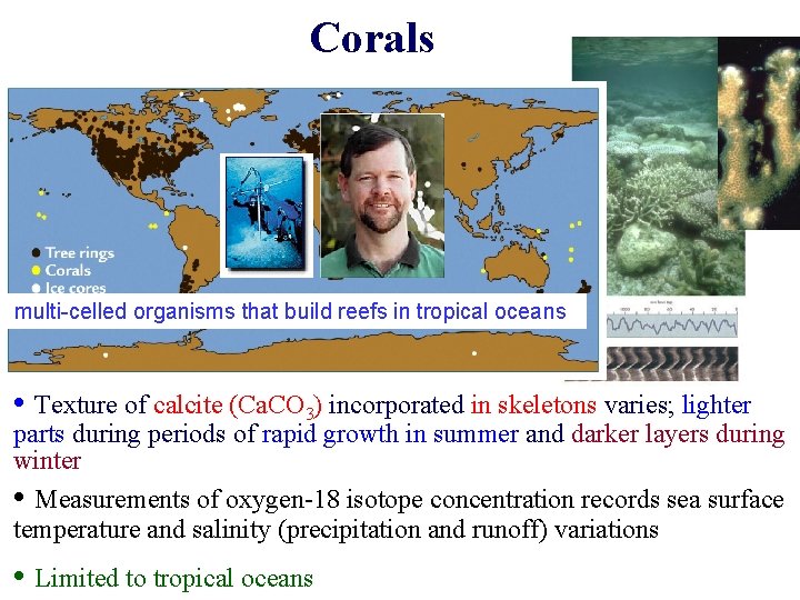 Corals multi-celled organisms that build reefs in tropical oceans • Texture of calcite (Ca.