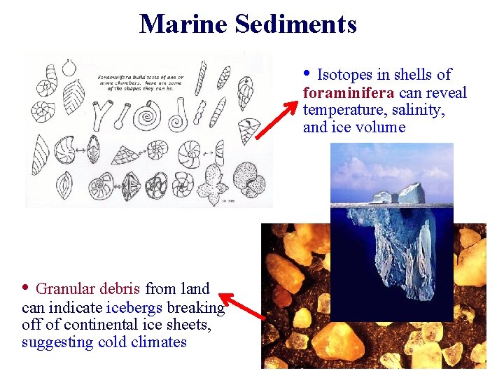 Marine Sediments • Isotopes in shells of foraminifera can reveal temperature, salinity, and ice