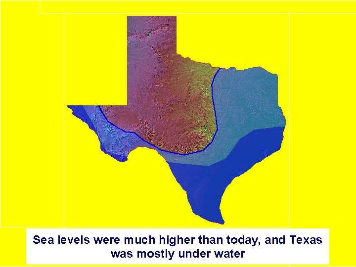 Sea levels were much higher than today, and Texas was mostly under water 