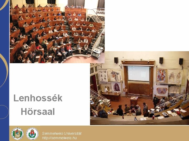 Lenhossék Hörsaal Semmelweis Universität http: //semmelweis. hu Előadás főcíme Előadás alcíme Dr. Minta Pál