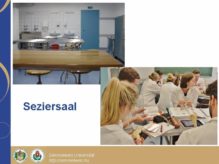 Seziersaal Semmelweis Universität http: //semmelweis. hu Előadás főcíme Előadás alcíme Dr. Minta Pál egyetemi