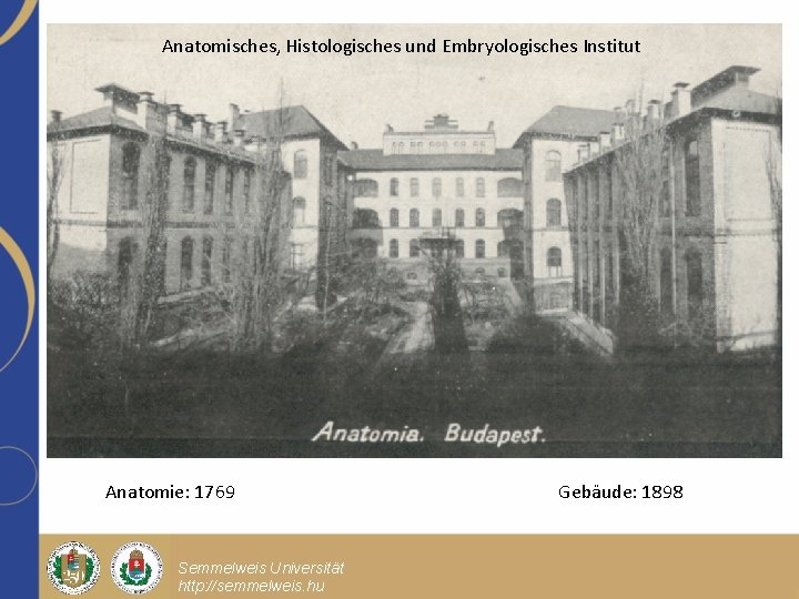 Anatomisches, Histologisches und Embryologisches Institut Anatomie: 1769 Semmelweis Universität http: //semmelweis. hu Gebäude: 1898