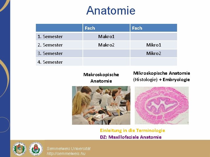 Anatomie Fach 1. Semester Makro 1 2. Semester Makro 2 3. Semester Mikro 1