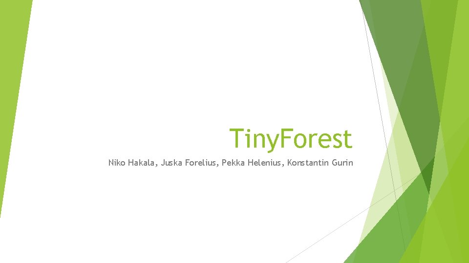Tiny. Forest Niko Hakala, Juska Forelius, Pekka Helenius, Konstantin Gurin 
