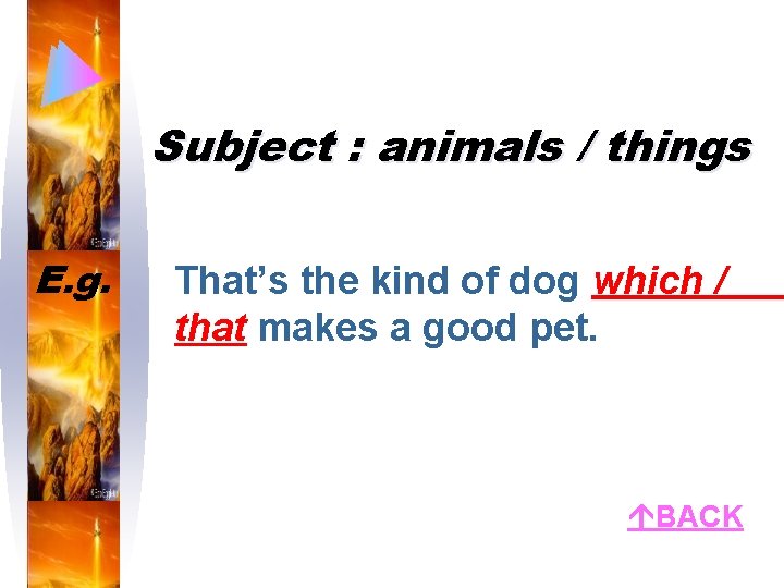 Subject : animals / things E. g. That’s the kind of dog which /