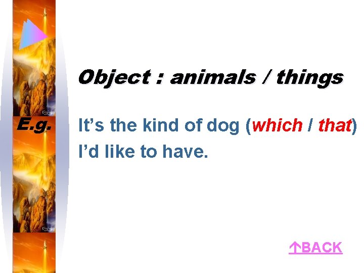 Object : animals / things E. g. It’s the kind of dog (which /