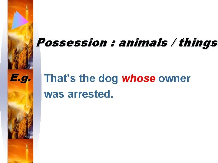 Possession : animals / things E. g. That’s the dog whose owner was arrested.