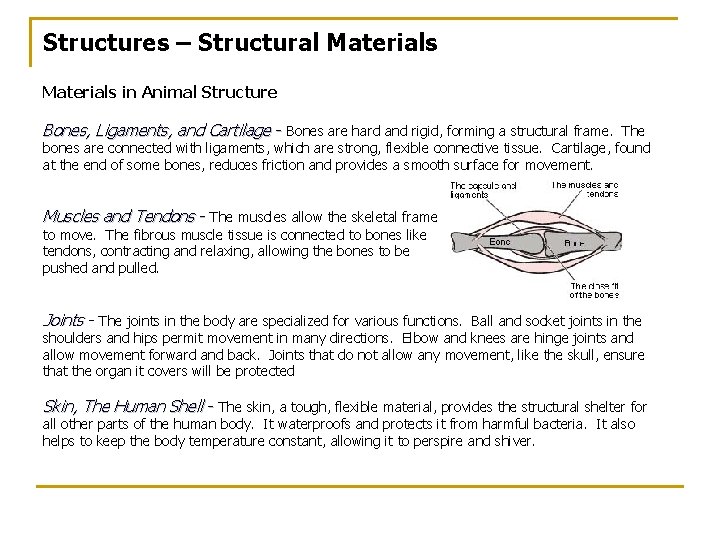 Structures – Structural Materials in Animal Structure Bones, Ligaments, and Cartilage - Bones are Structures – Structural Materials in Animal Structure Bones, Ligaments, and Cartilage - Bones are