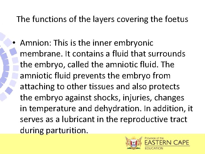 The functions of the layers covering the foetus • Amnion: This is the inner