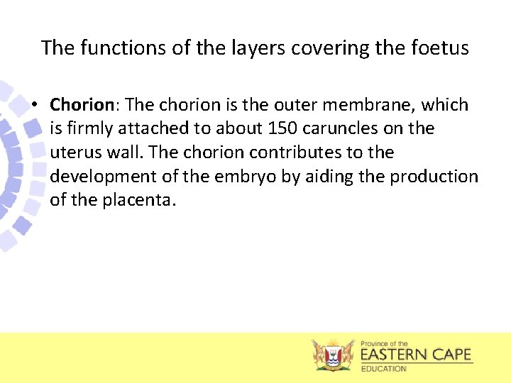 The functions of the layers covering the foetus • Chorion: The chorion is the