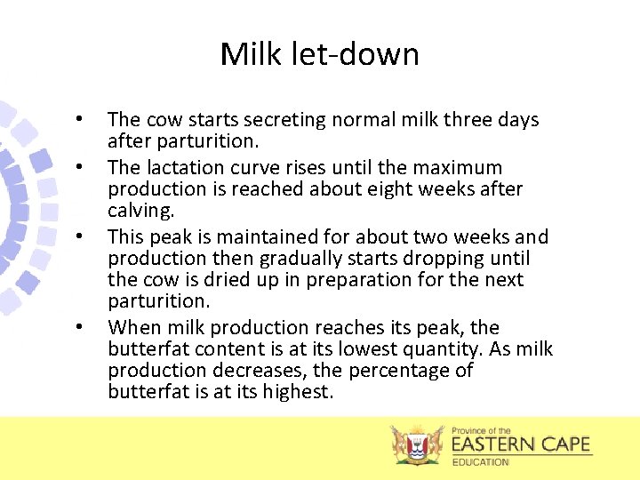 Milk let-down • • The cow starts secreting normal milk three days after parturition.