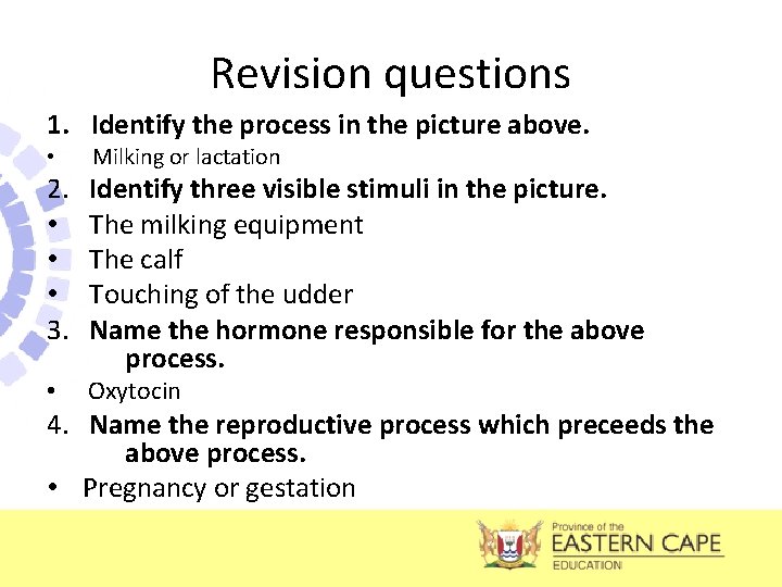 Revision questions 1. Identify the process in the picture above. • 2. • •